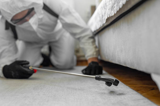 Professional Cockroach Control technician working in Commerce, CA
