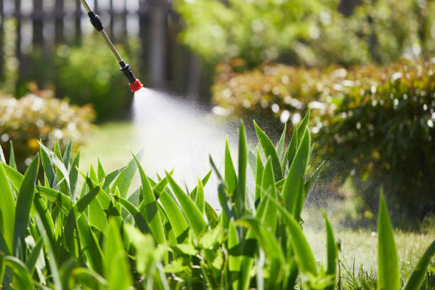 24/7 Emergency Cockroach Control experts in Commerce, CA